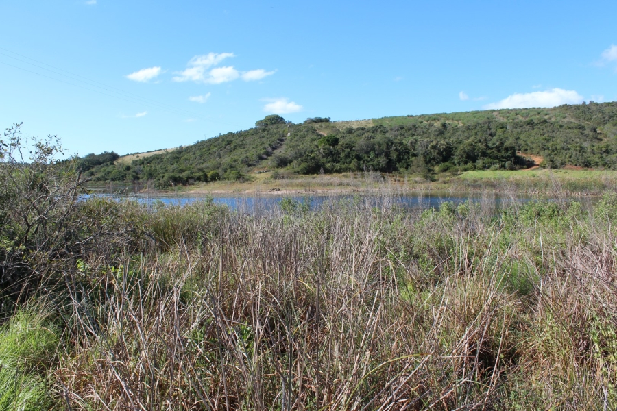 3 Bedroom Property for Sale in Bathurst Eastern Cape